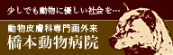 橋本動物病院のリンク
